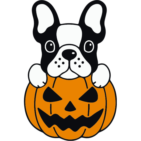Pumpkin Frenchie (0895) Thumbnail