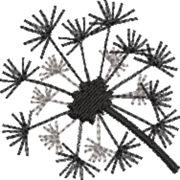 Dandelion (0335) Thumbnail