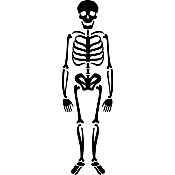 Skeleton 8 Thumbnail