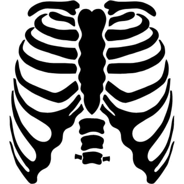 Rib cage 2 Thumbnail