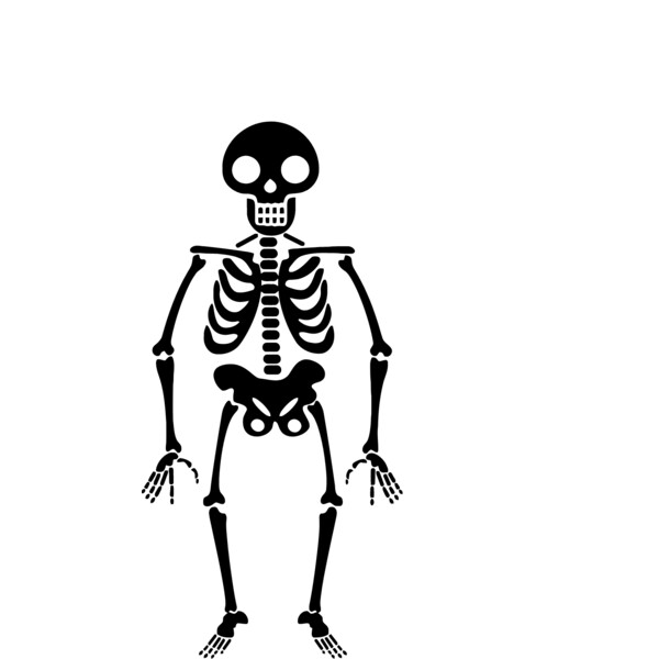 Skeleton 2 Thumbnail