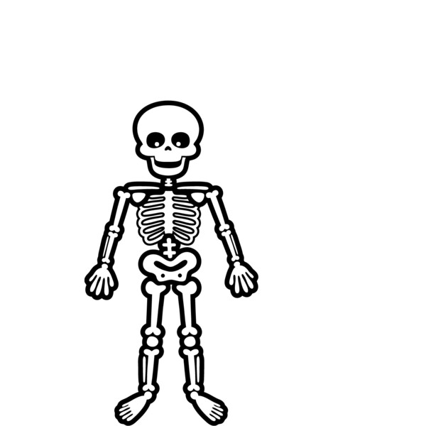 Skeleton 4 Thumbnail