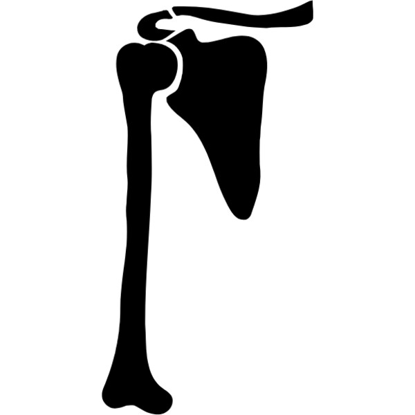 right humorous Thumbnail