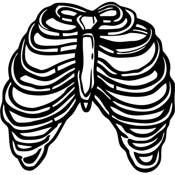 Rib cage 3 Thumbnail