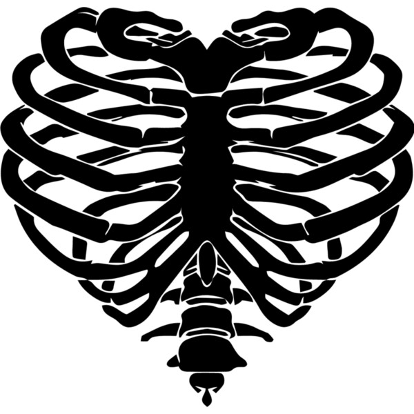 Rib cage Thumbnail