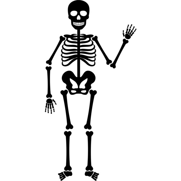 Skeleton 6 Thumbnail