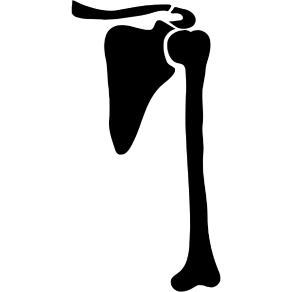 Left humorous Thumbnail