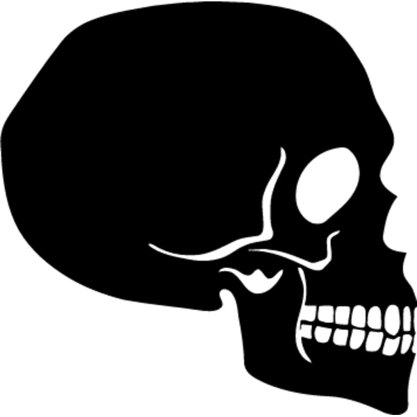 Skull looking right Thumbnail