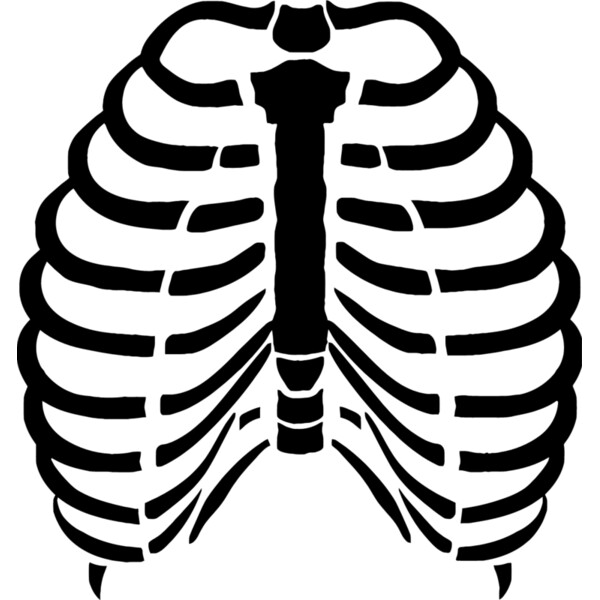 Rib cage 4 Thumbnail