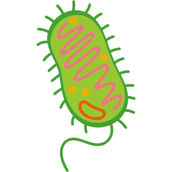 Bacteria Cell Thumbnail