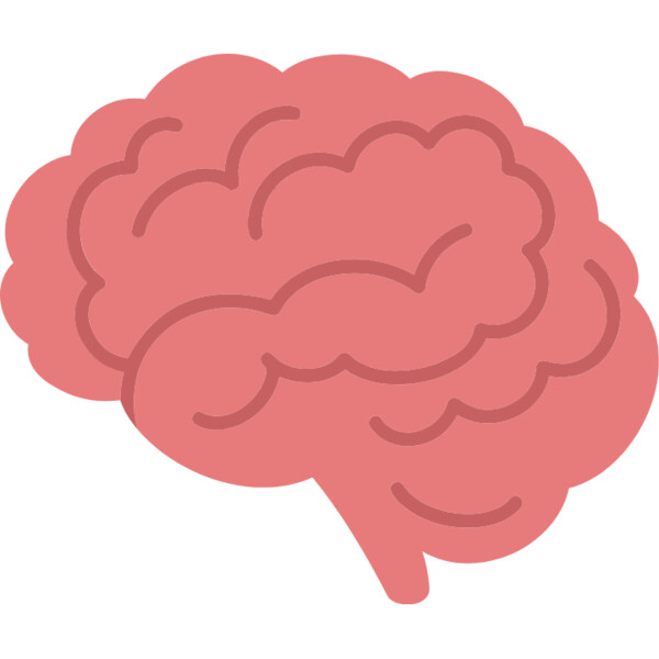 Brain Thumbnail