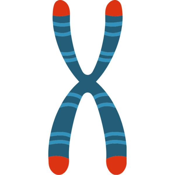 Chromosome Thumbnail