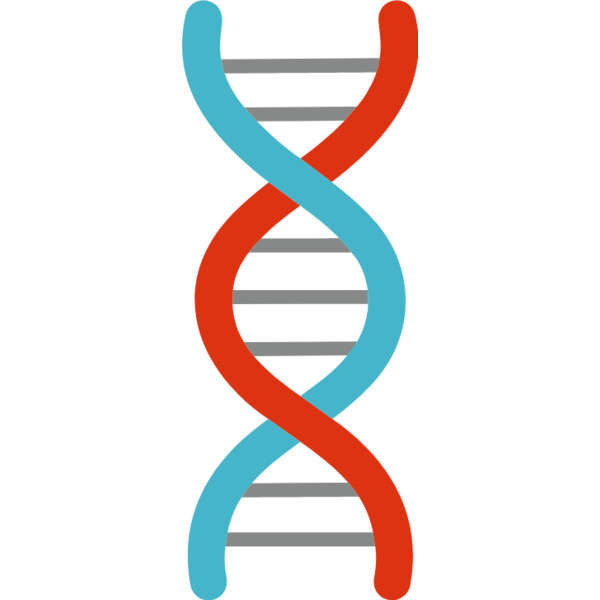 DNA Strand Thumbnail