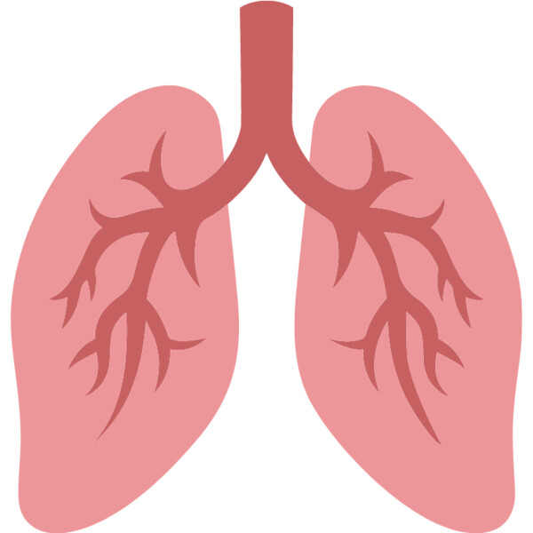 Lungs Thumbnail