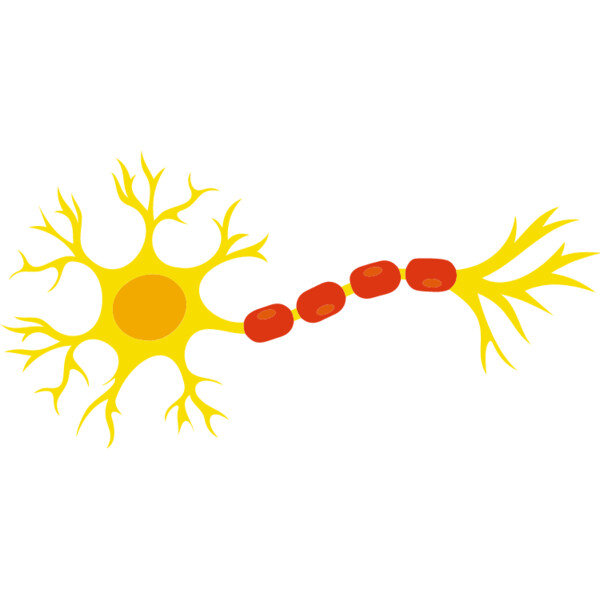 Neuron Thumbnail