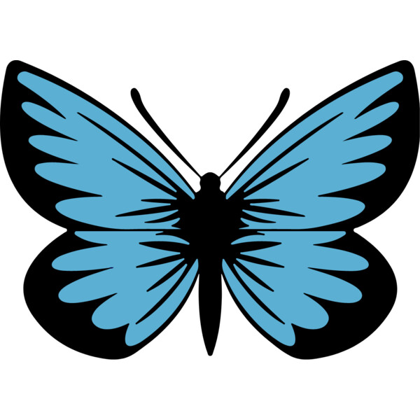 Blue Butterfly Thumbnail