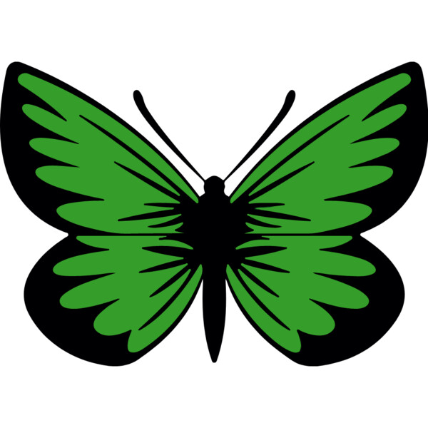 Green Butterfly Thumbnail