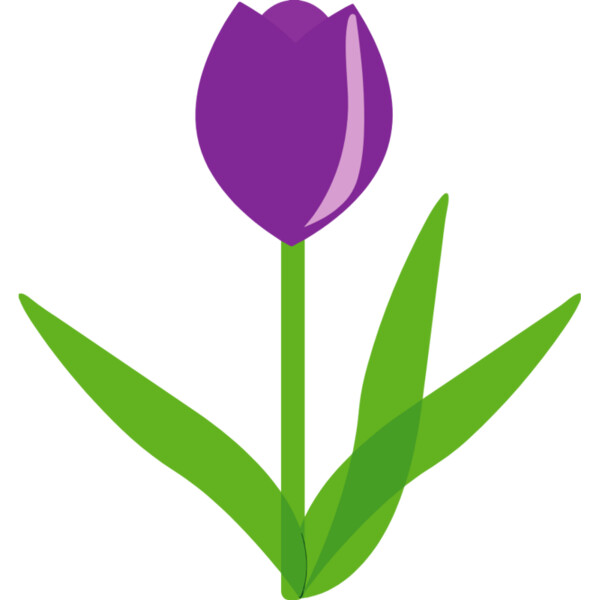 Tulip Flower Thumbnail