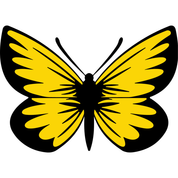 Yellow Butterfly Thumbnail