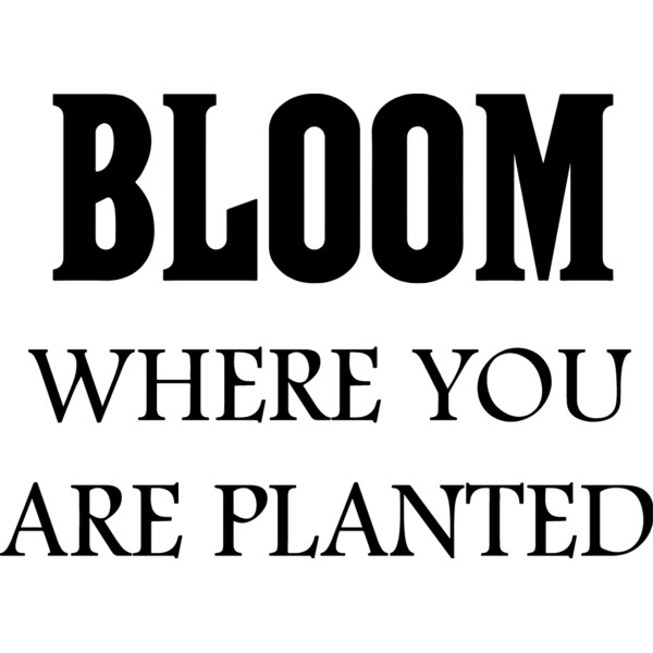 Bloom Where Thumbnail