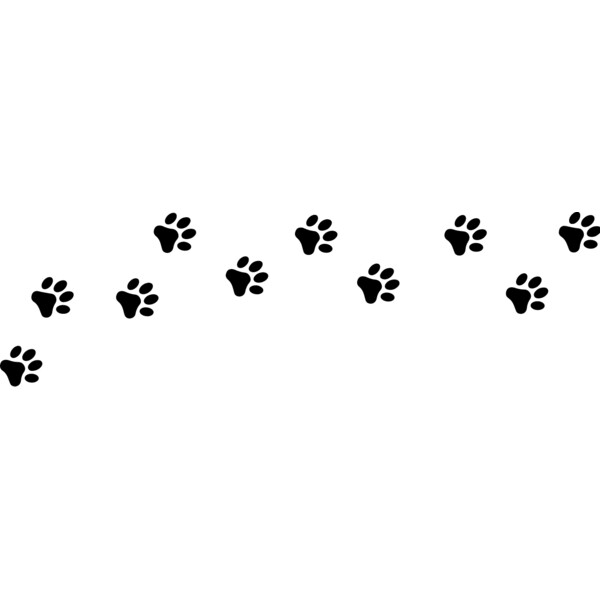 Dog Paw Thumbnail