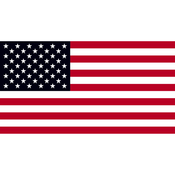 United States of America Flag Thumbnail
