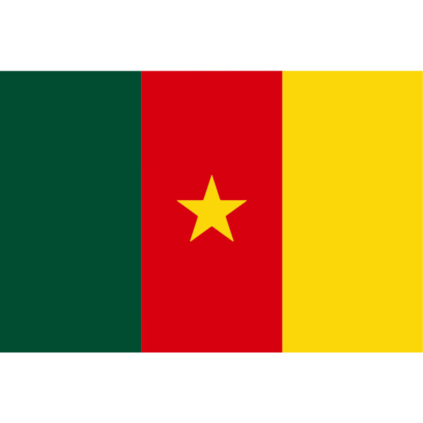 Cameroon Flag Thumbnail