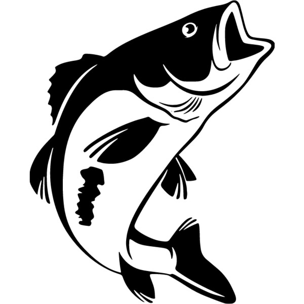 Plain Bass Fish Thumbnail