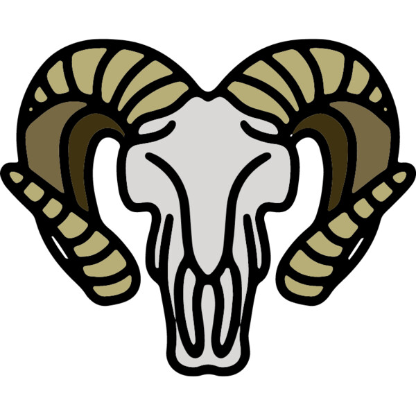 Bighorn Sheep Skull Thumbnail