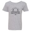 Heavy Cotton Toddler T-Shirt Thumbnail